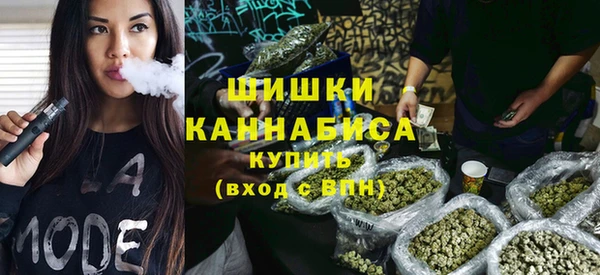 бошки Алексин