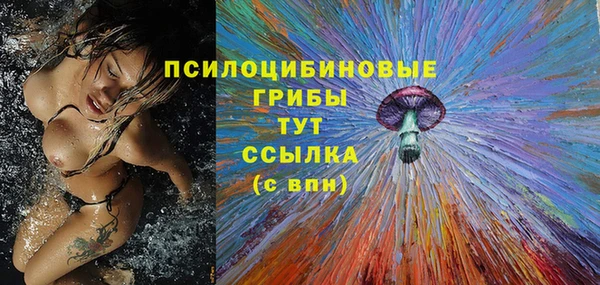 молекула духа Алексеевка