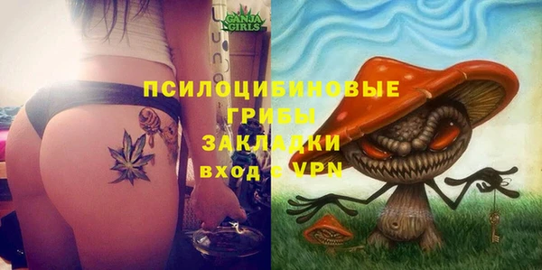 бошки Алексин
